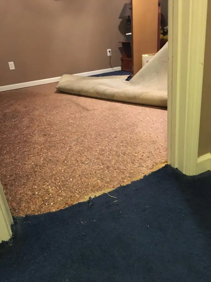 Carpet pad removal revealing water damage during Water Mitigation Services in Laurel